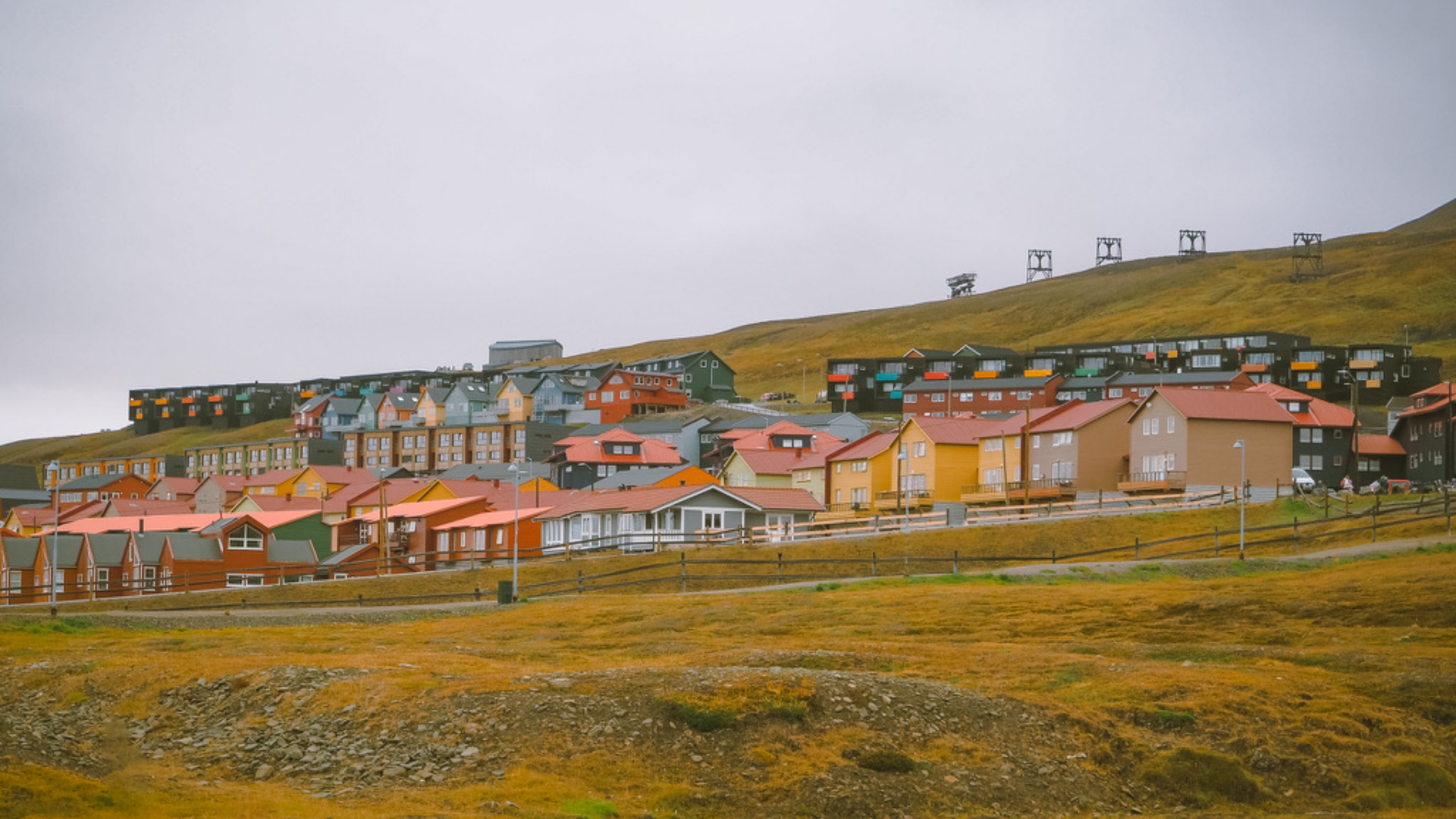 Armbrüster Aktuelles MSC Gruppenreise Spitzbergen
