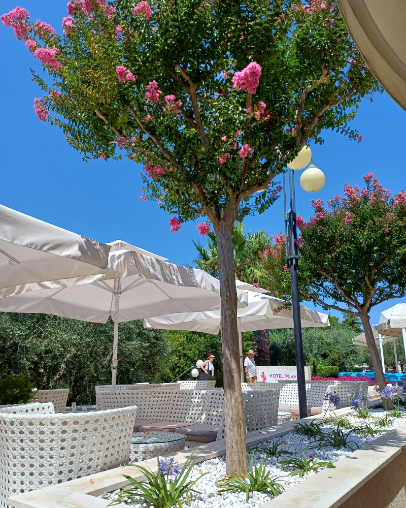 Armbrüster Reisebericht zu Familienurlaub in Kroatien - Foto 3